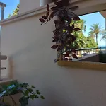 Noray Playa Seafront, San Pedro De Alcantara Appartement *