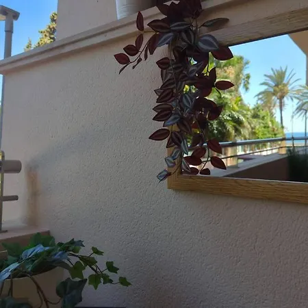 Noray Playa Seafront, San Pedro De Alcantara Apartmán *